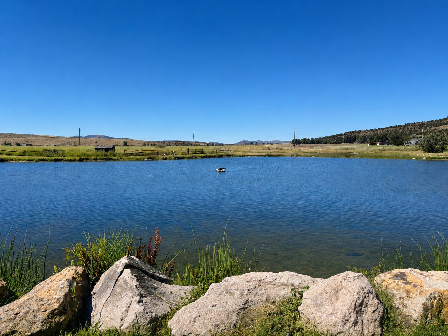 Resort pond with rocks and mountain views